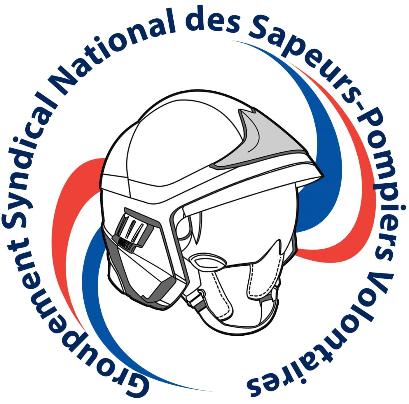 SNSPV Logo